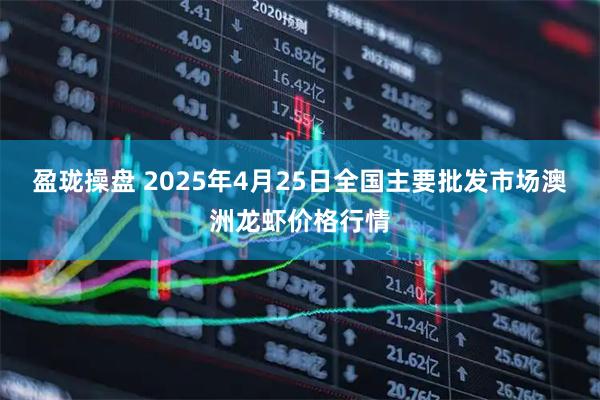 盈珑操盘 2025年4月25日全国主要批发市场澳洲龙虾价格行情