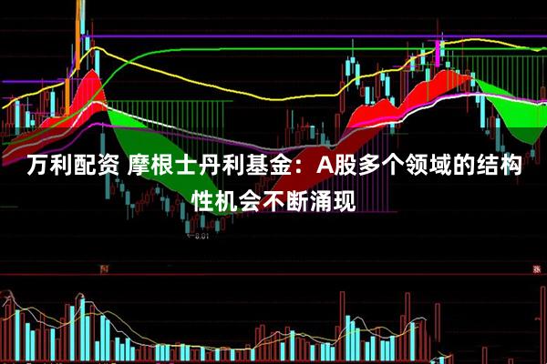万利配资 摩根士丹利基金:A股多个领域的结构性机会不断涌现