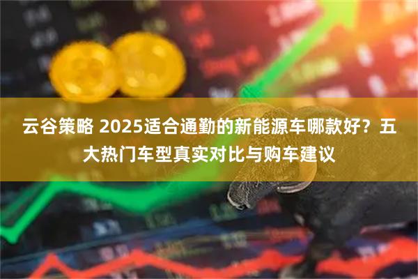 云谷策略 2025适合通勤的新能源车哪款好？五大热门车型真实对比与购车建议