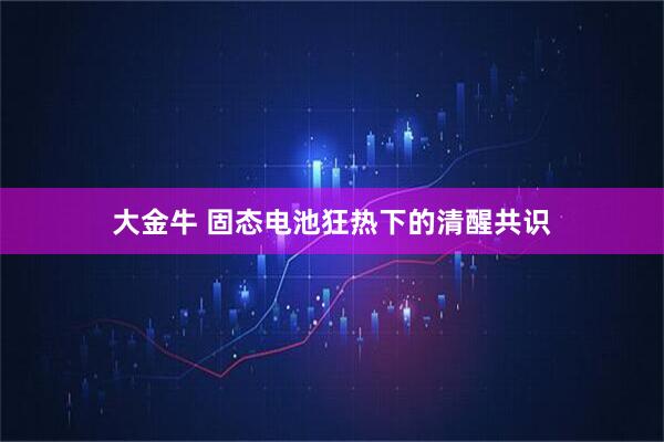 大金牛 固态电池狂热下的清醒共识