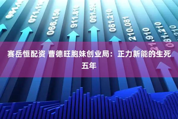 赛岳恒配资 曹德旺胞妹创业局：正力新能的生死五年