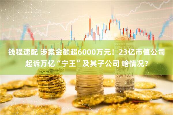 钱程速配 涉案金额超6000万元！23亿市值公司起诉万亿“宁王”及其子公司 啥情况？