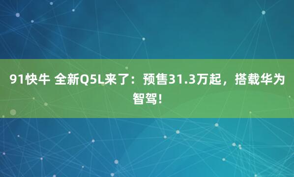 91快牛 全新Q5L来了:预售31.3万起,搭载华为智驾!