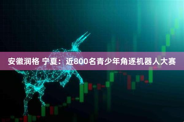 安徽润格 宁夏:近800名青少年角逐机器人大赛